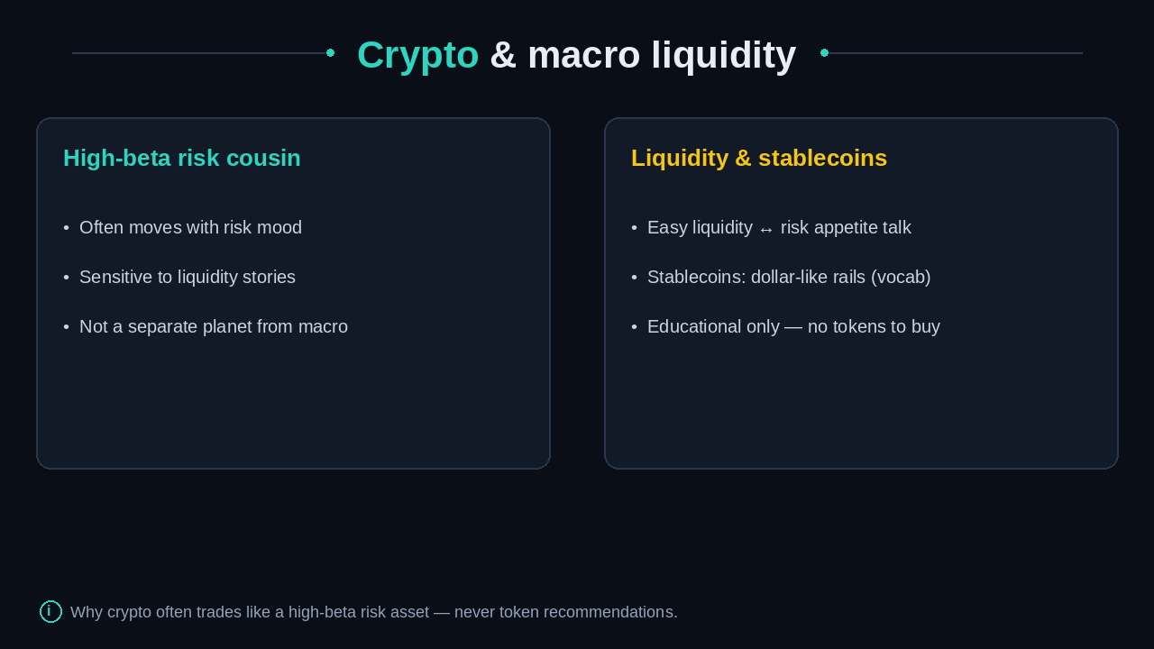 High-beta risk cousin beside liquidity and stablecoins vocabulary cards