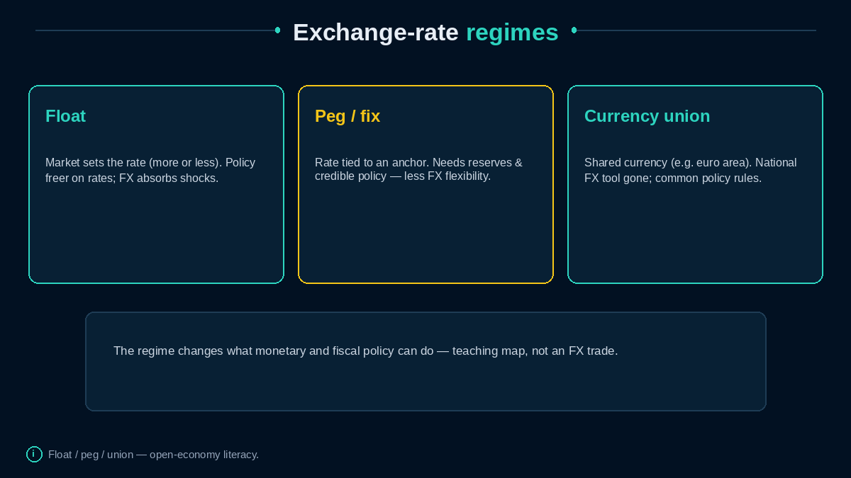 Float, peg, and currency-union teaching columns